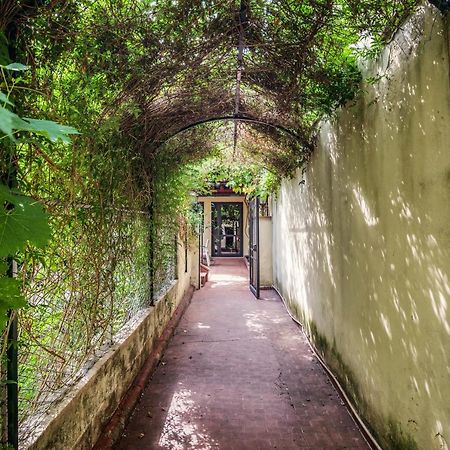 Santa Reparata Apartment With Patio And Terrace Florence Exterior photo